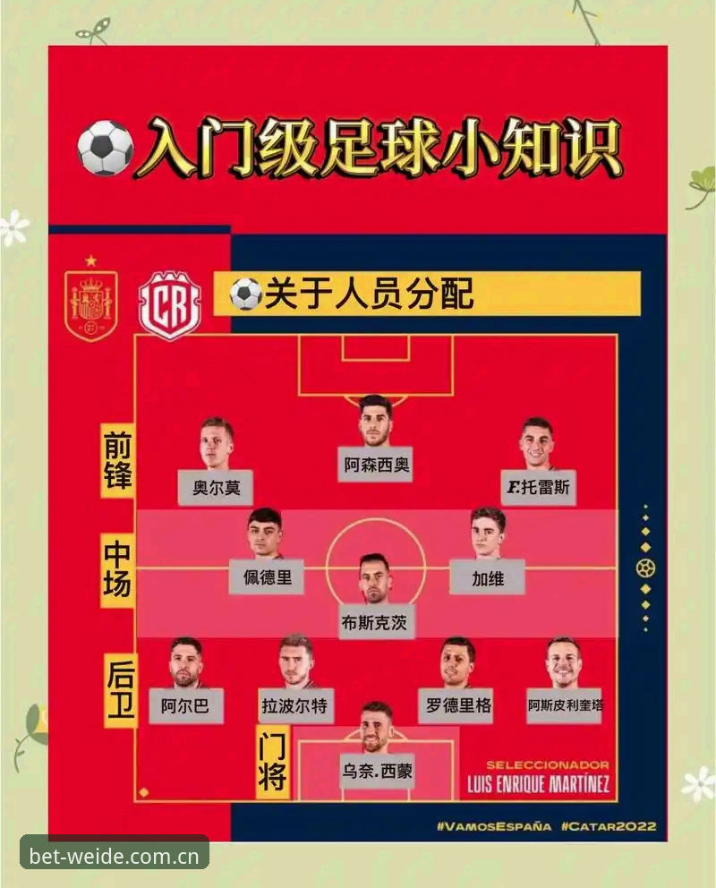 伟德体育注册教程：世界杯赛前开户的实用准备要点